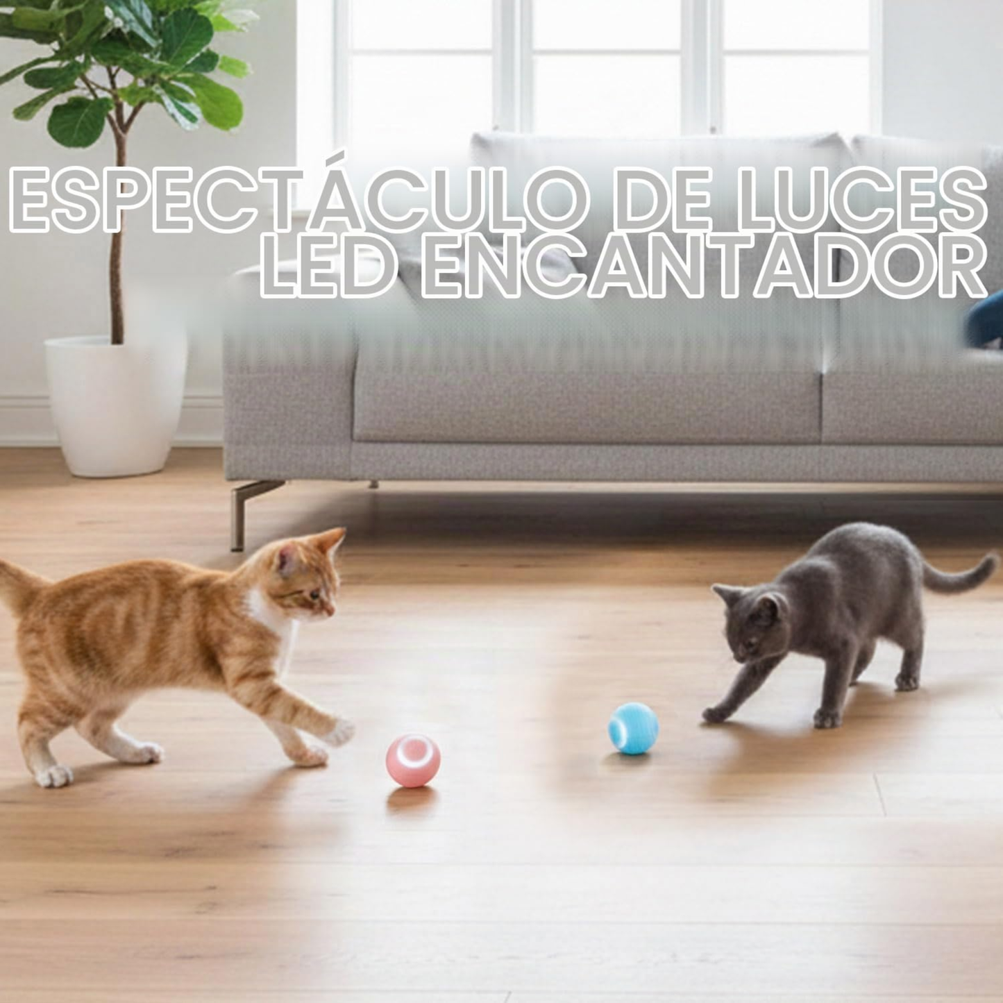 Pelota Inteligente Antiaburrimiento